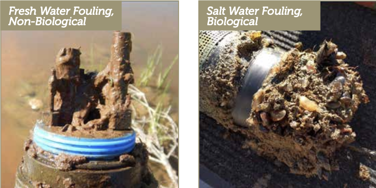 Manta F35 Anti-Fouling Multiprobe_detail 2